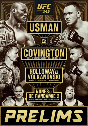UFC 245: Usman vs. Covington poszter