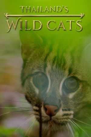 Thailand's Wild Cats poszter