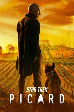 Star Trek: Picard poszter