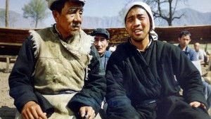 笨人王老大 háttérkép