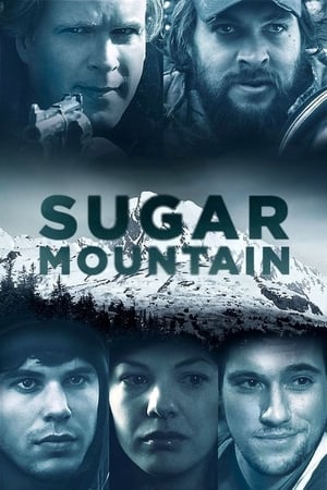 Sugar Mountain poszter