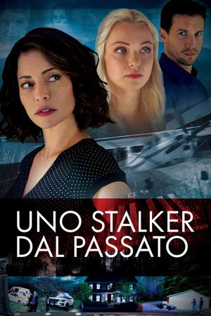 My Mother's Stalker poszter
