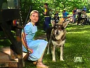 The Littlest Hobo 1. évad Ep.6 6. epizód