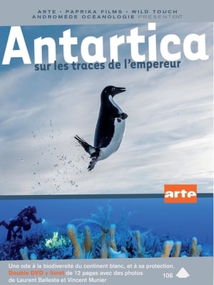 Antarctica, sur les traces de l'empereur poszter