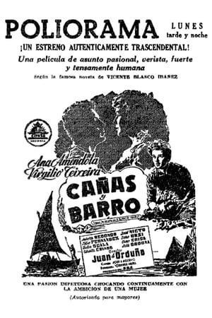 Cañas y barro poszter