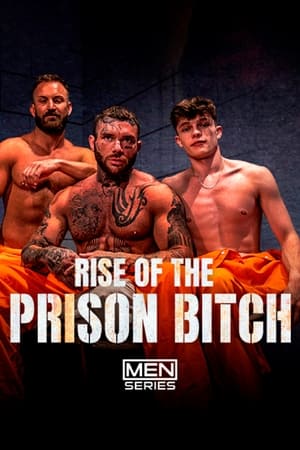 Rise Of The Prison Bitch