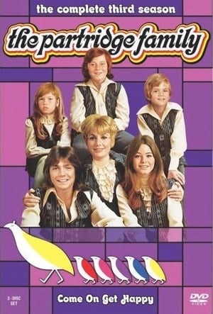 The Partridge Family