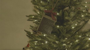 Santa's Never Been to My House háttérkép