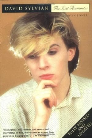 David Sylvian profil kép