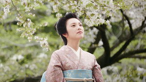 山桜 háttérkép