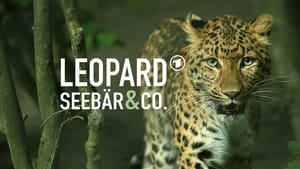 Leopard, Seebär & Co. kép