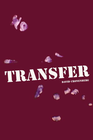 Transfer poszter