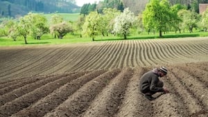 Unser Boden, unser Erbe háttérkép