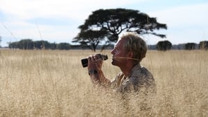 A Serengeti szabályai háttérkép