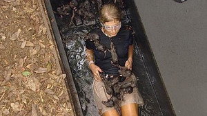 I'm a Celebrity...Get Me Out of Here! Season 3 Ep.6 6. epizód