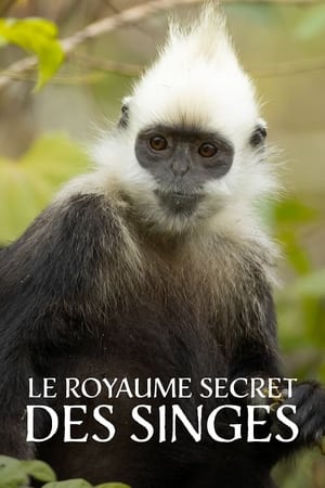 China's Secret Monkey Kingdom poszter