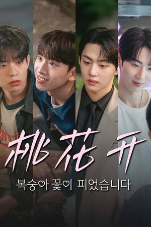 복숭아 꽃이 피었습니다 poszter