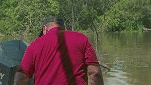 Swamp People 16. évad Ep.7 7. epizód