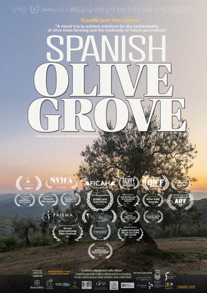 El paisaje del olivar poszter