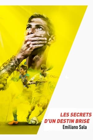 Emiliano Sala, les secrets d'un destin brisé