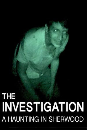 The Investigation: A Haunting in Sherwood poszter