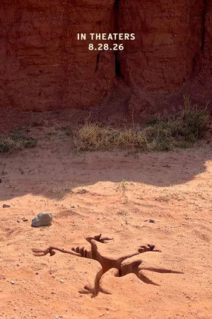 Coyote vs ACME poszter