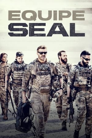 SEAL Team poszter