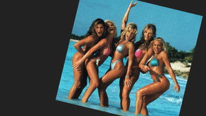 WWF Divas: Postcard From the Caribbean háttérkép