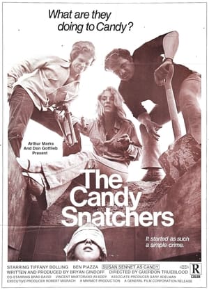 The Candy Snatchers poszter