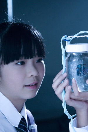 星星的孩子