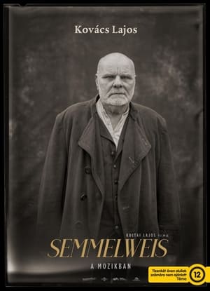 Semmelweis poszter