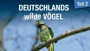 Deutschlands Wilde Vögel 2 háttérkép