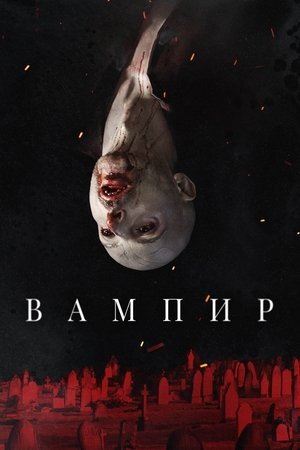 Vampir poszter