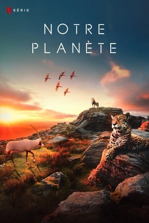 Our Planet – Bolygónk csodái poszter