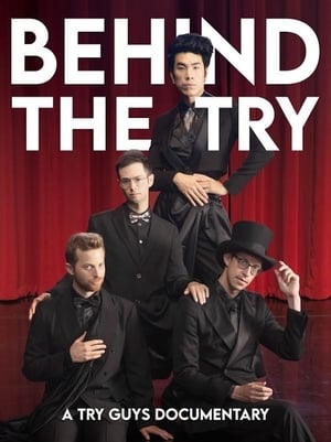 Behind The Try: A Try Guys Documentary poszter