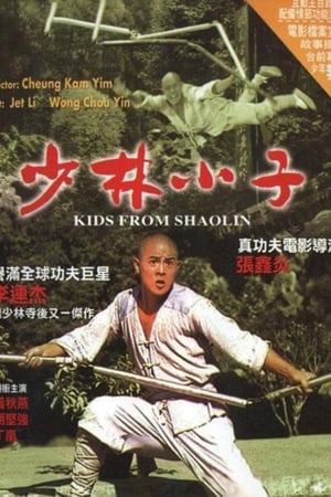 Shaolin templom 2 poszter