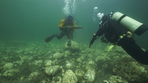 Le naufrage de L'Île aux Oeufs háttérkép