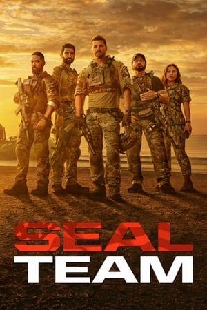 SEAL Team poszter