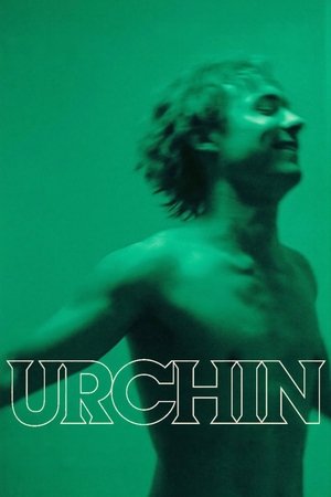 Urchin