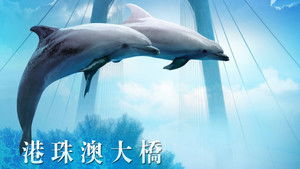 港珠澳大桥 háttérkép