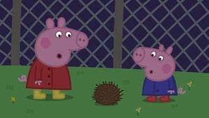 Peppa malac 4. évad Ep.35 35. epizód