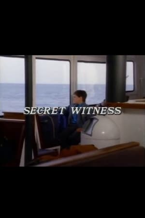 Secret Witness