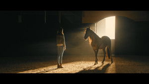 Immenhof - Das Abenteuer eines Sommers háttérkép