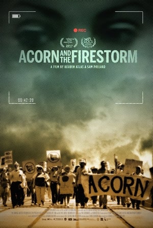 Acorn and the Firestorm poszter