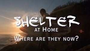 Shelter at Home: Where Are They Now? háttérkép