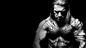 WWE Breaking Point 2009 háttérkép