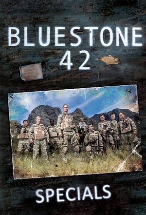 Bluestone 42