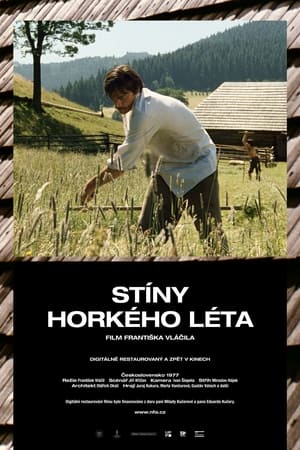 Stíny horkého léta