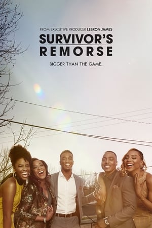 Survivor's Remorse poszter