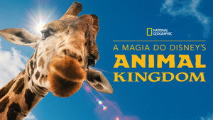 Magic of Disney's Animal Kingdom kép
